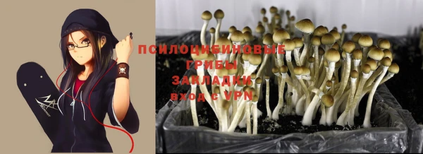 прущие грибы Арсеньев