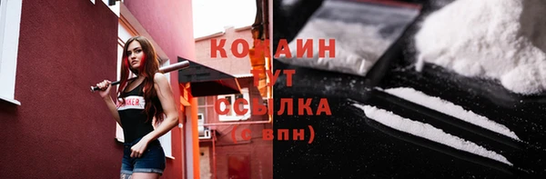 прущие грибы Арсеньев