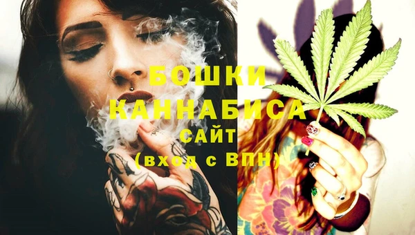 прущие грибы Арсеньев