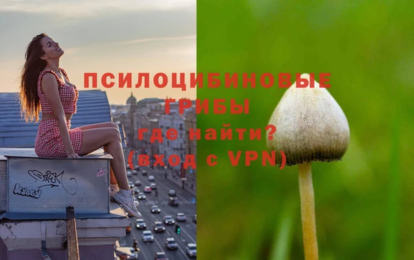прущие грибы Арсеньев