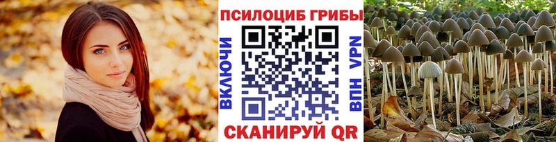 Псилоцибиновые грибы мицелий  купить наркоту  мега зеркало  Абакан 